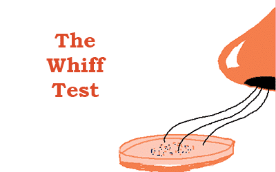 The Whiff Test