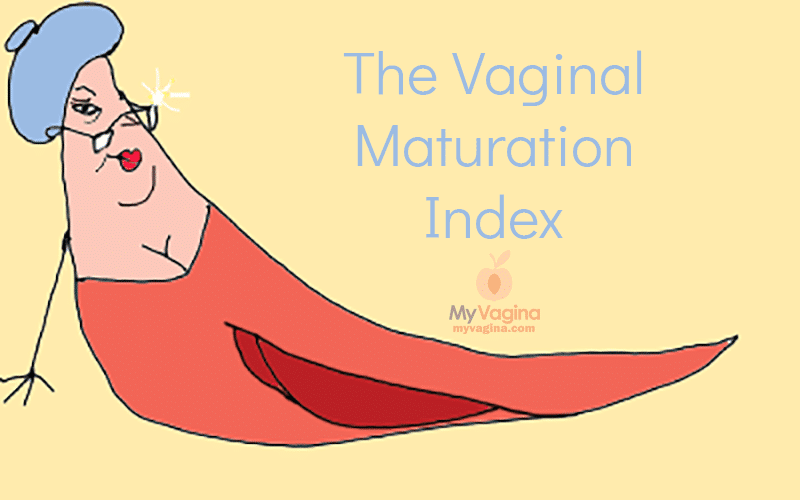 Index Of Vagina