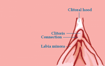 Fingered after heavy bleeding why do