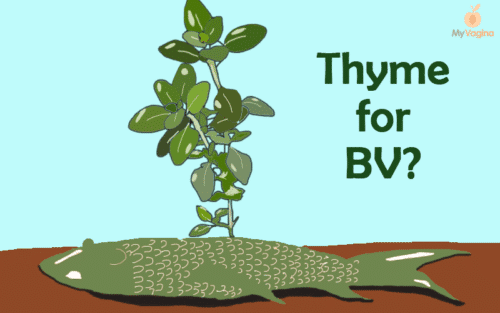 Thyme Cream BV Treatment