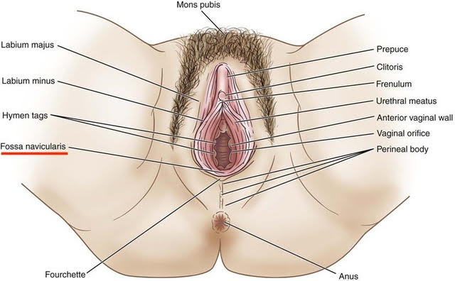 A vaginal fissure what is Cracks/ Tears