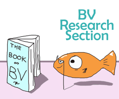 BV Research Section