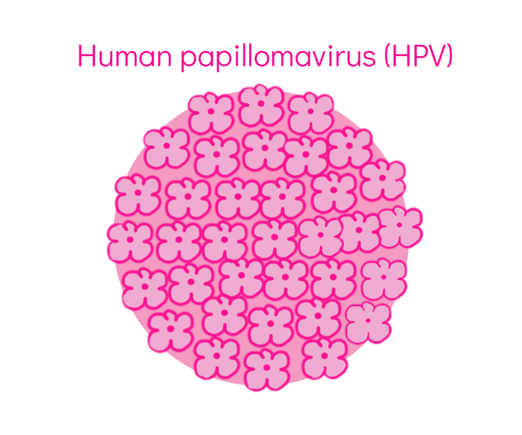 HPV Human Papillomavirus Virus - My Vagina