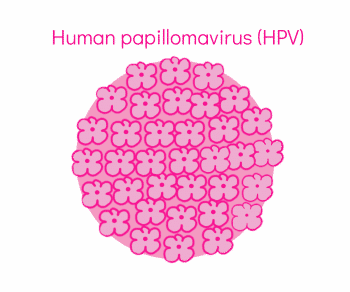 HPV Human Papillomavirus Virus - My Vagina