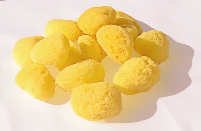 Sea sponge for contraception