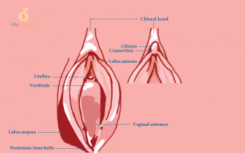 Vaginal cuts vaginal tears vaginal fissures My Vagina