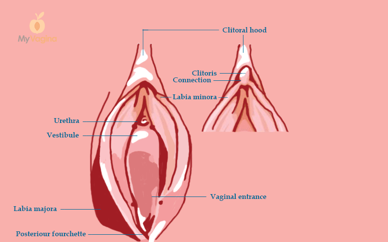 Small Cuts On Vagina