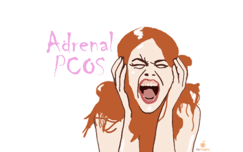 Adrenal PCOS My Vagina