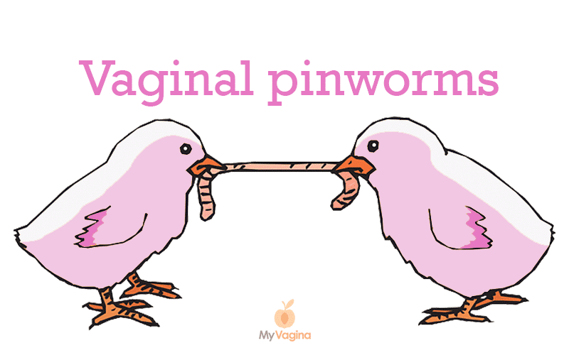 Vaginal Pinworms (Enterobius Vermicularis) — My Vagina