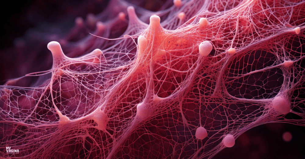 Connective tissue like fascia web, pink, pretty