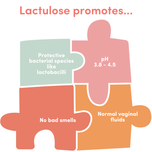 Puzzle pieces showing that you can use Lactulose for a healthy vaginal microbiome