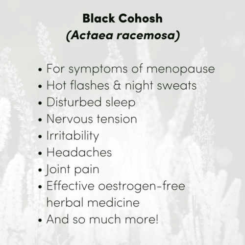 Black cochosh factsheet for Femular Forte and other black cohosh products