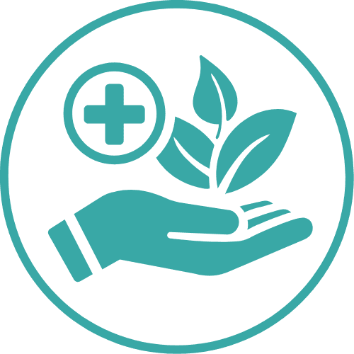 Penis Treatments section, medicine symbol, plant and hand - My Vagina