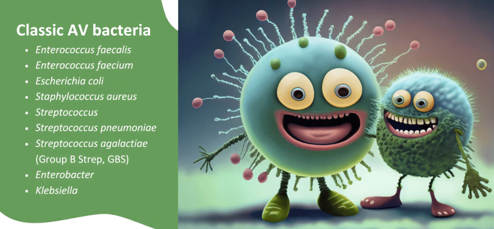 List of AV bacteria with a cute picture of E. coli and a friend