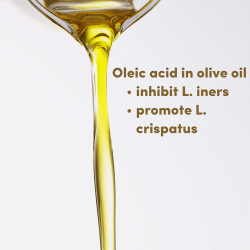 A gorgeous pour of olive oil, as we use in our Lactobacillus iners treatment