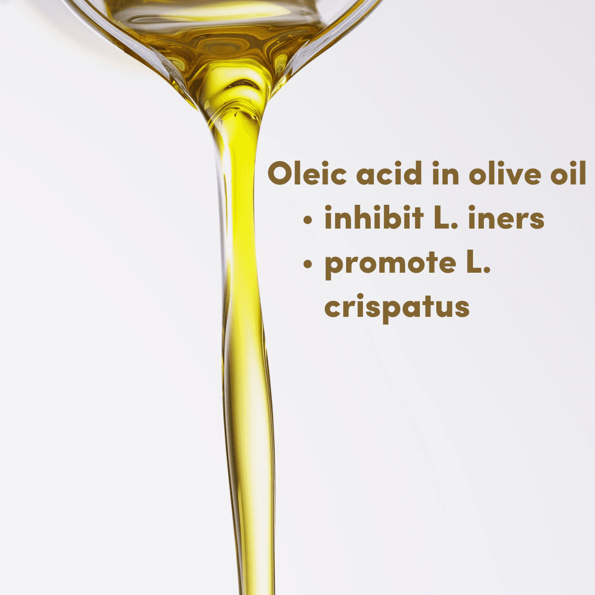 A gorgeous pour of olive oil, as we use in our Lactobacillus iners treatment